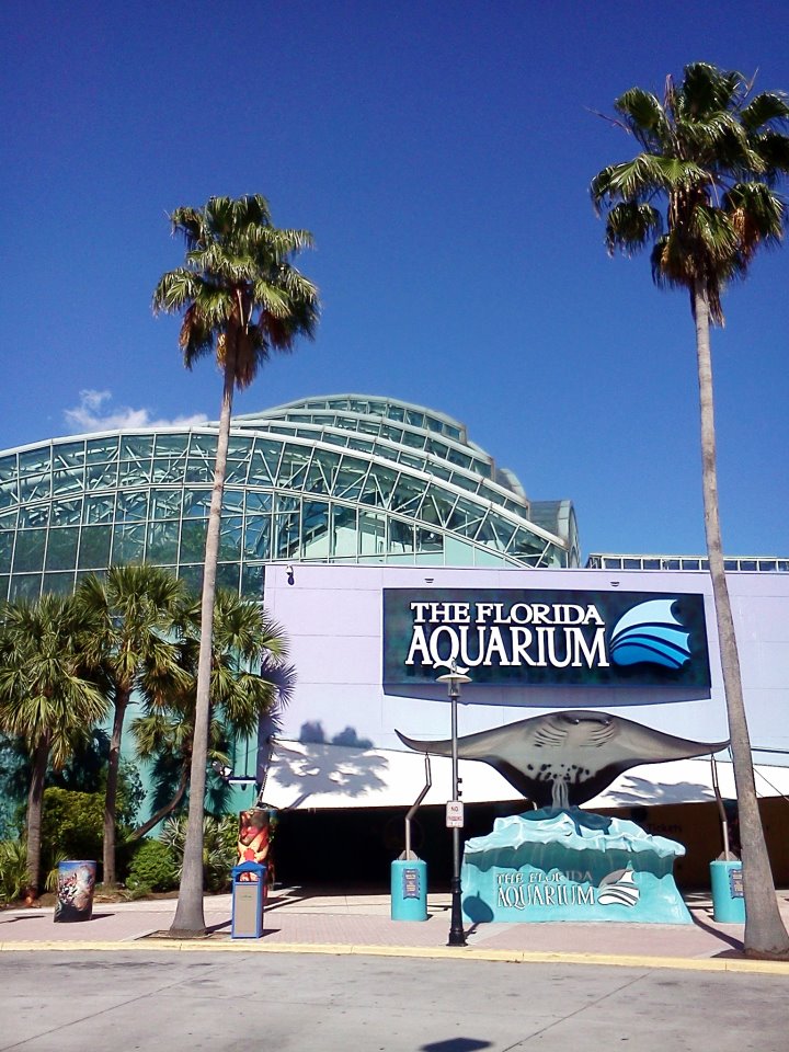 The Florida Aquarium, Downtown Tampa